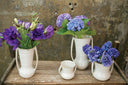 Zara Collection (Vase Medium)